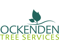 Ockenden Trees - Salibsury Tree Surgeons