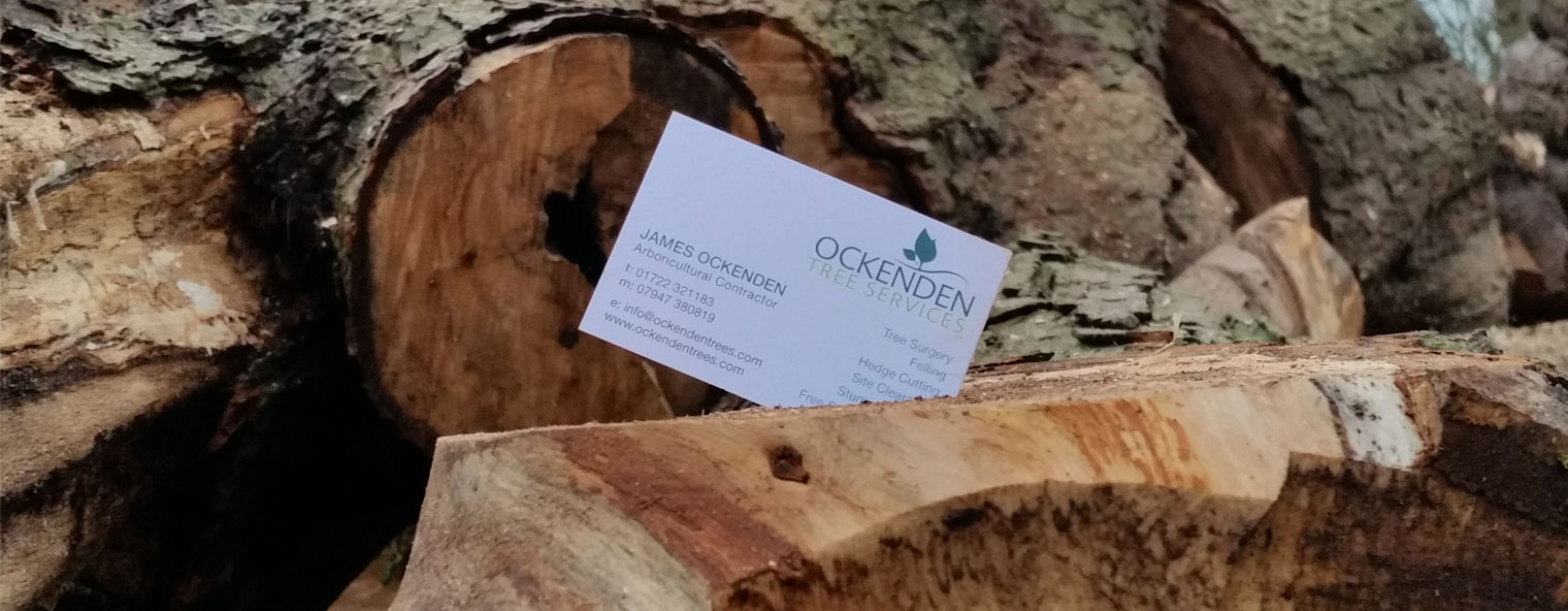 Salisbury Tree Surgeons